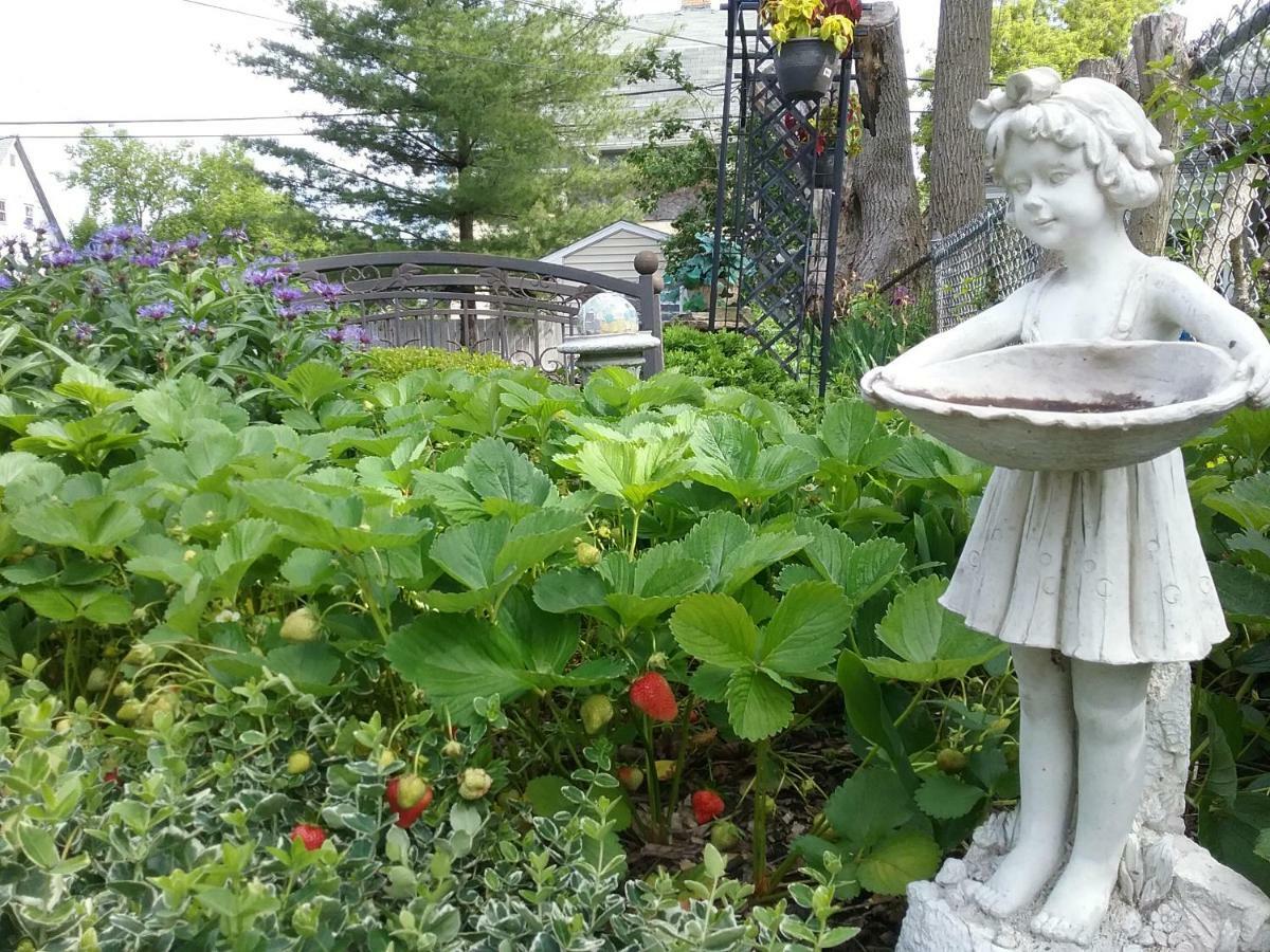 Hanover House Bed And Breakfast Καταρράκτες του Νιαγάρα Εξωτερικό φωτογραφία